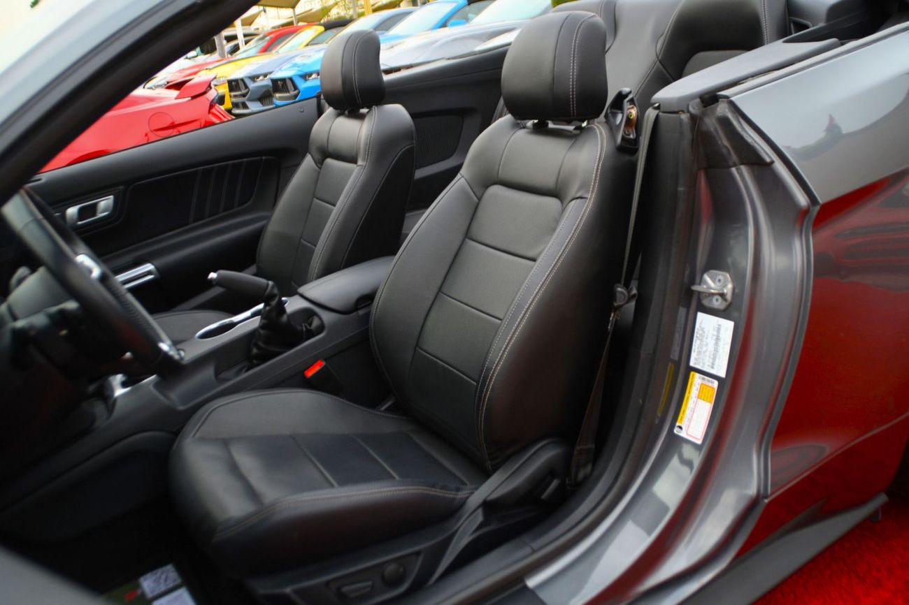 2019 Ford Mustang photo 4