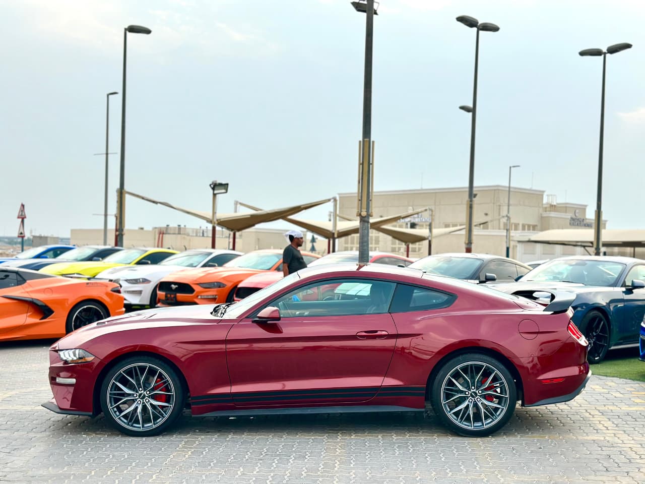 2019 Ford Mustang photo 3