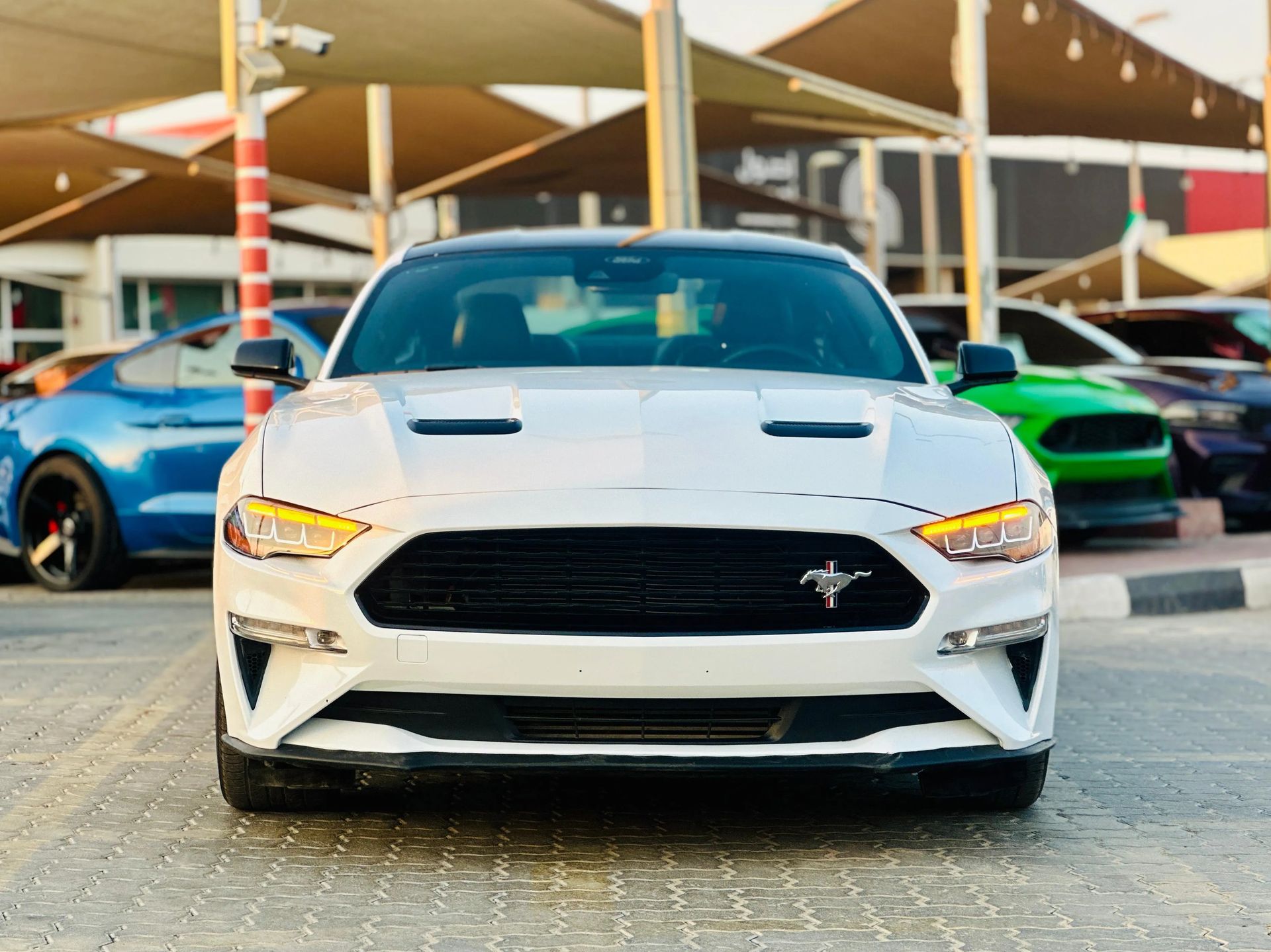 2023 Ford Mustang photo 2