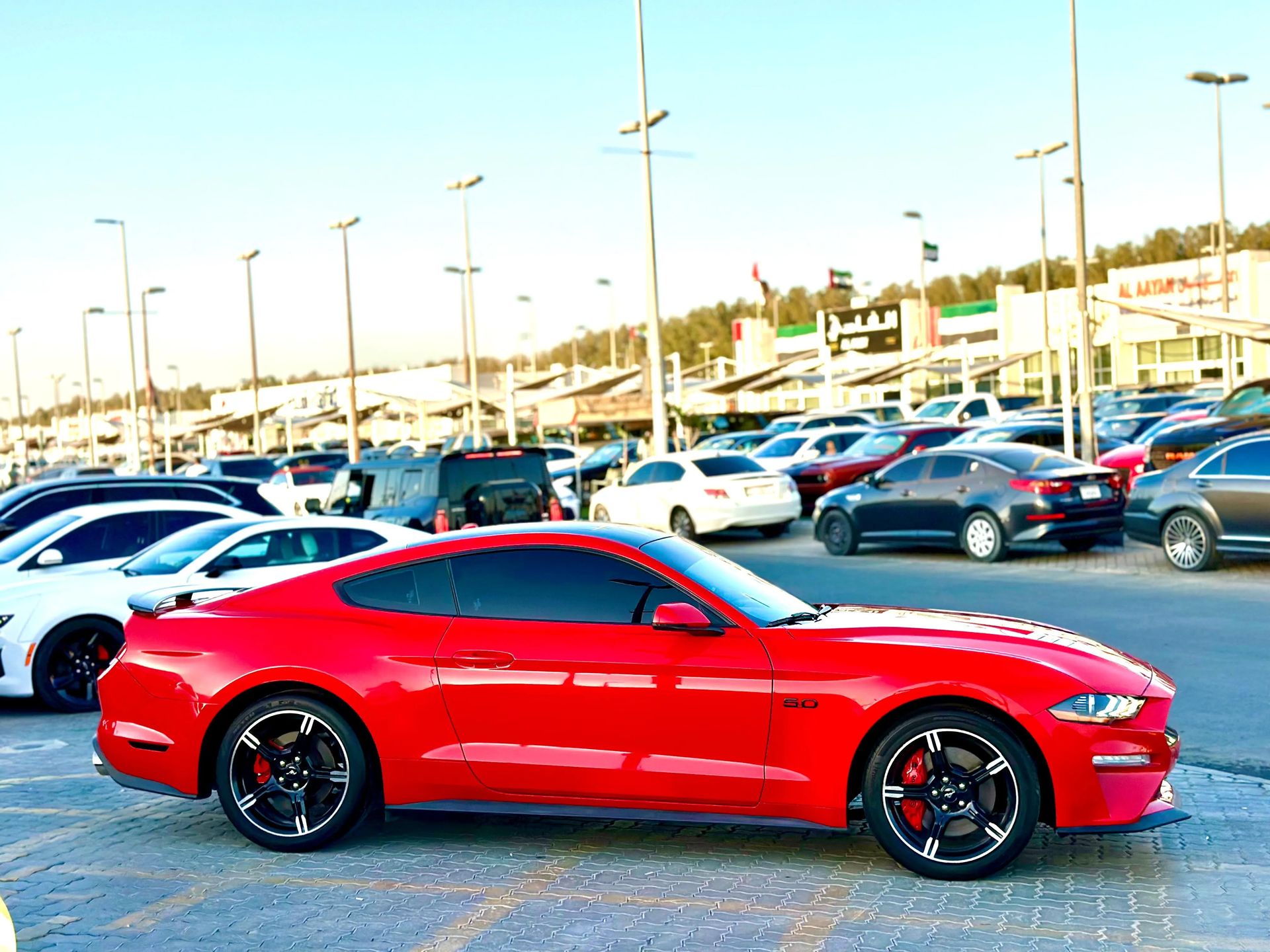 2019 Ford Mustang photo 4