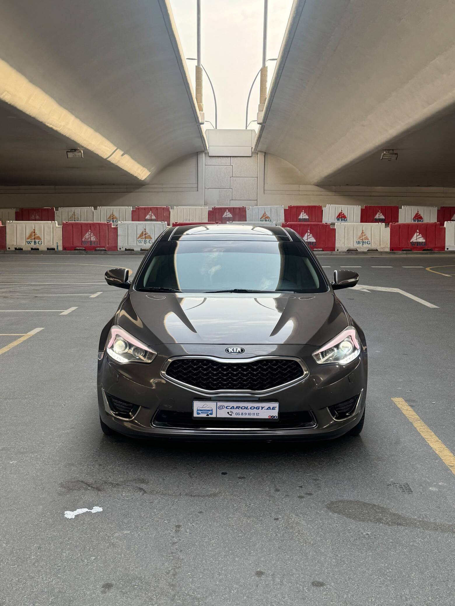 2015 Kia Cadenza