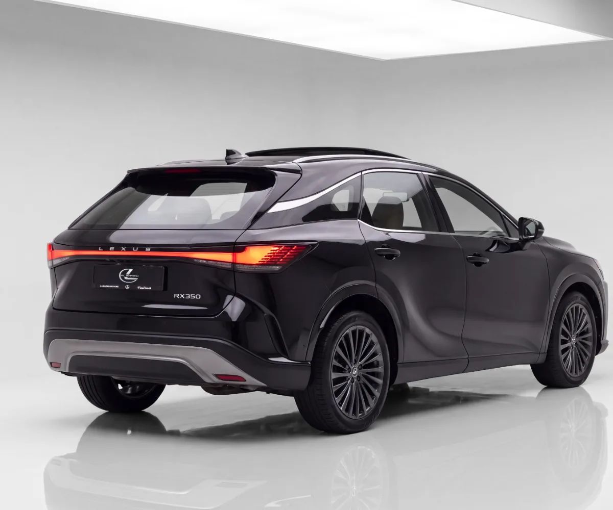 2024 Lexus RX350h photo 5