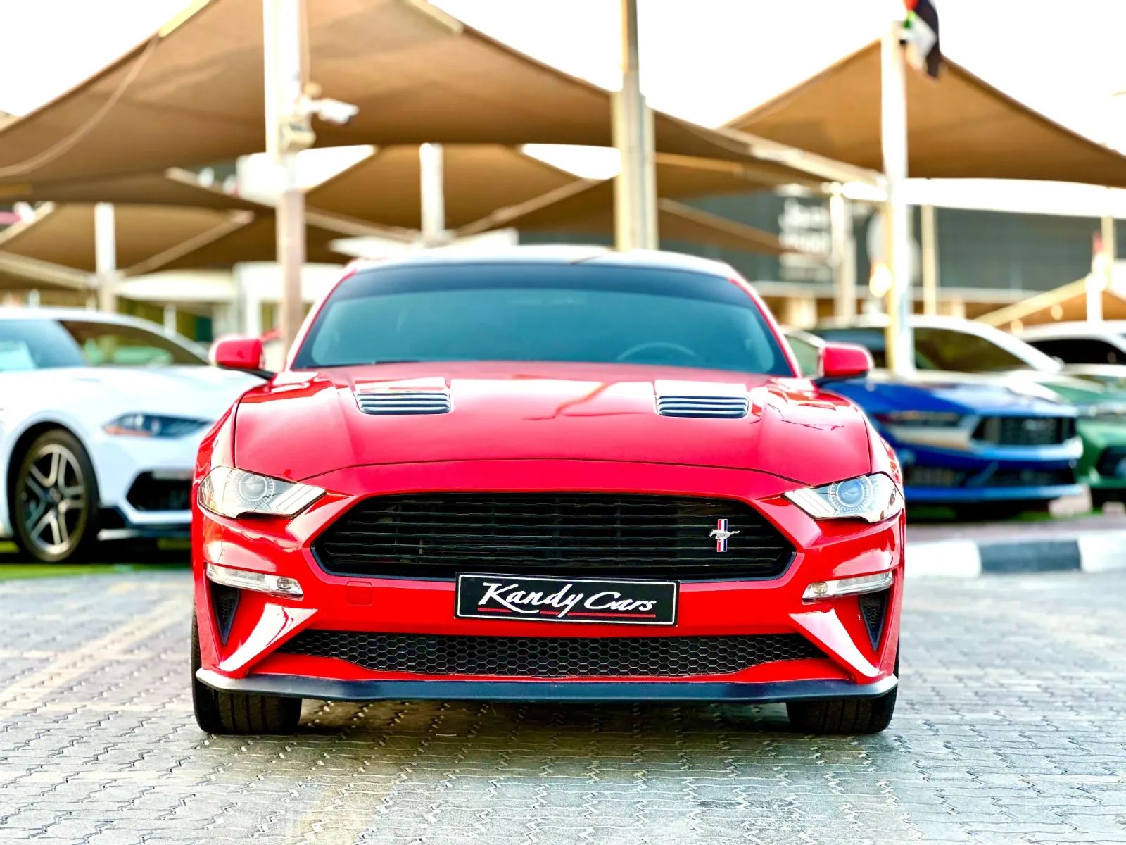 2019 Ford Mustang photo 2