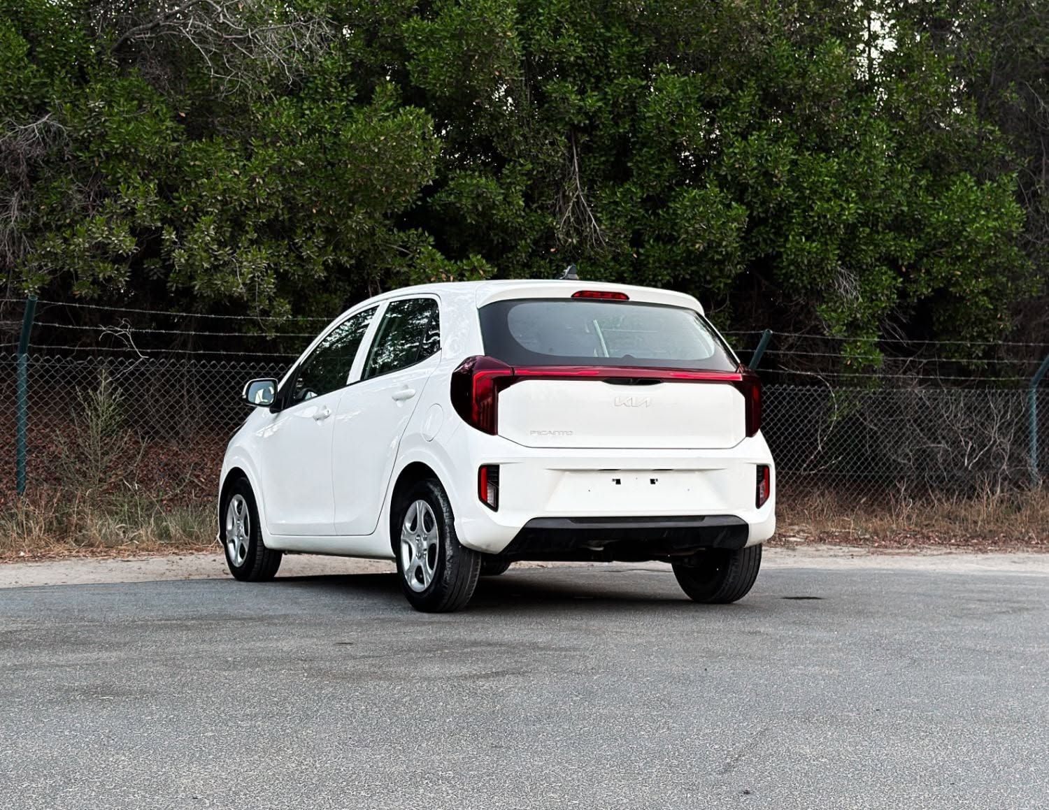 2024 Kia Picanto photo 5