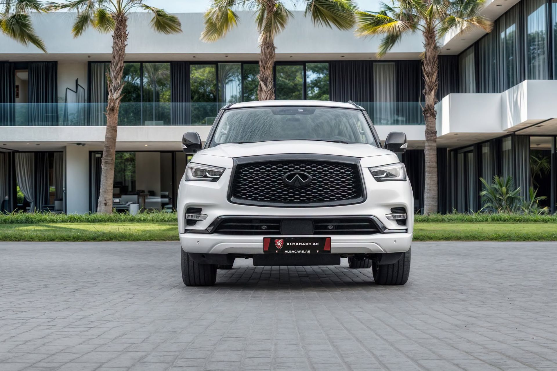 2023 Infiniti QX80 LUXE photo 2