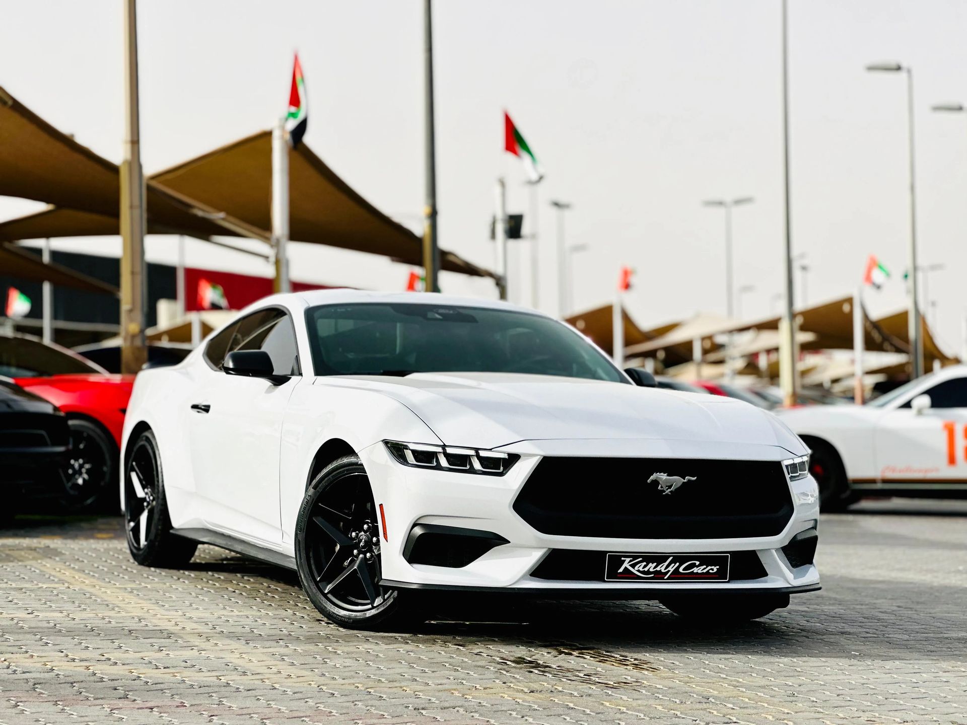 2025 Ford Mustang photo 2