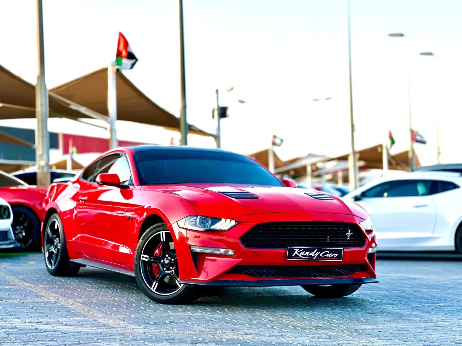 2019 Ford Mustang photo 3