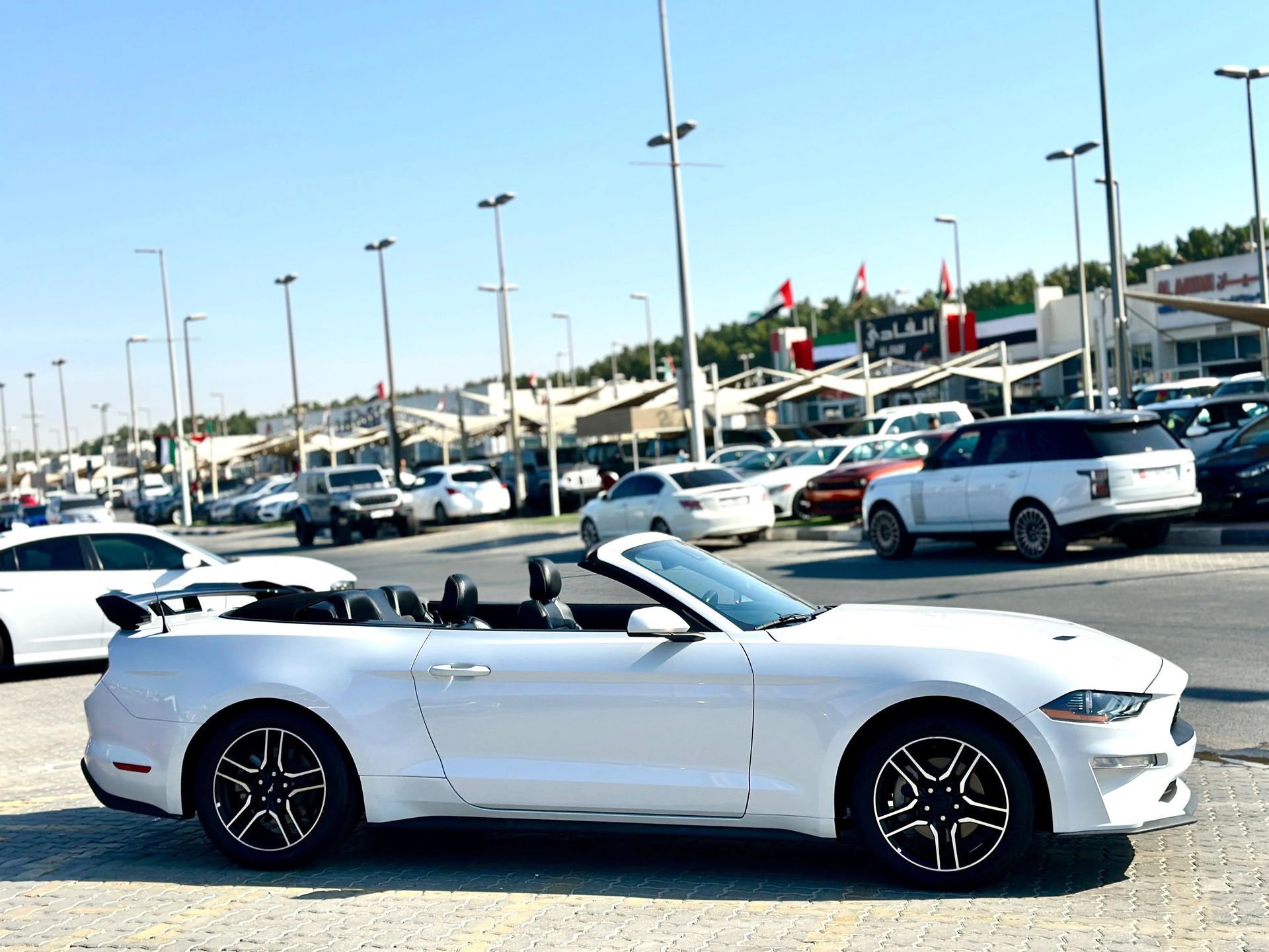 2022 Ford Mustang photo 3