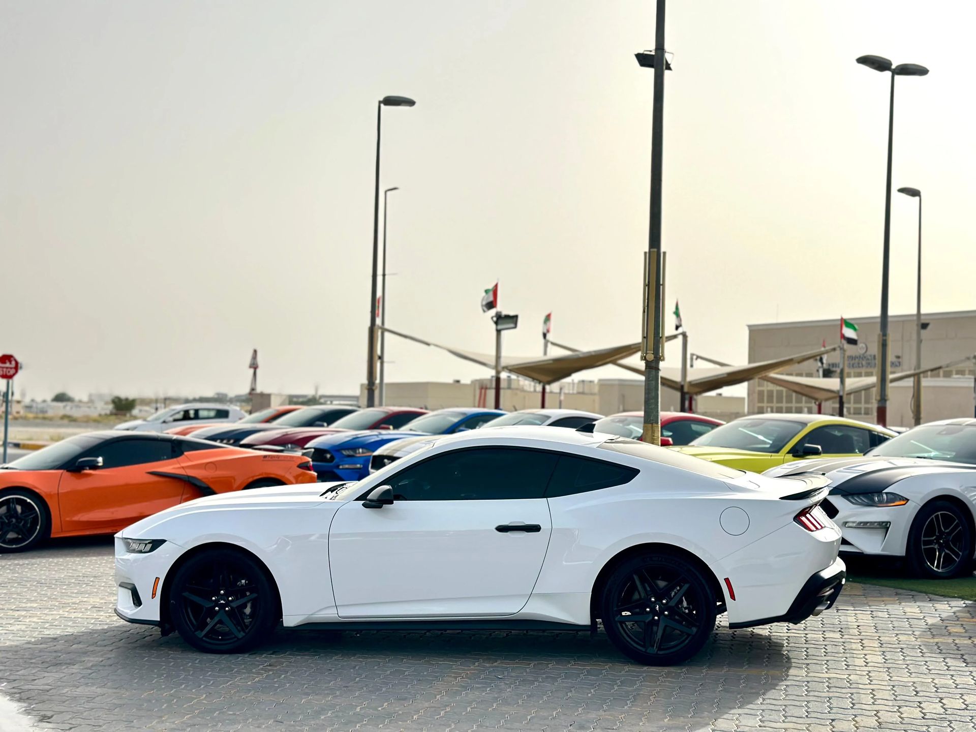 2025 Ford Mustang photo 3