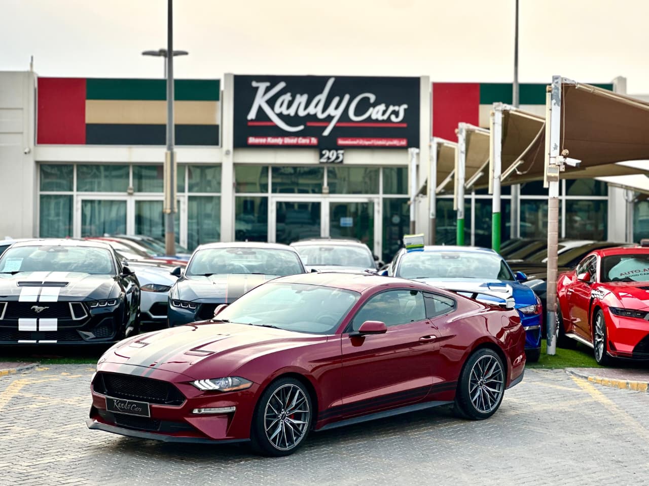 2019 Ford Mustang