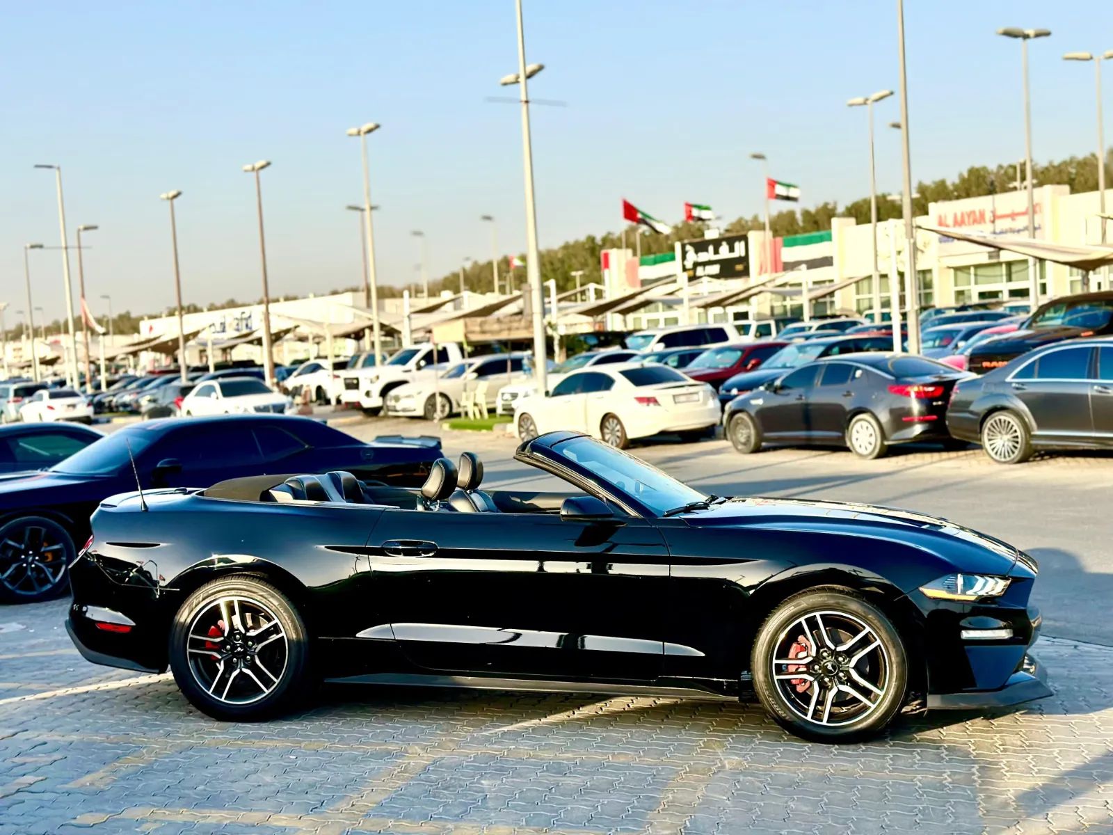 2021 Ford Mustang photo 3