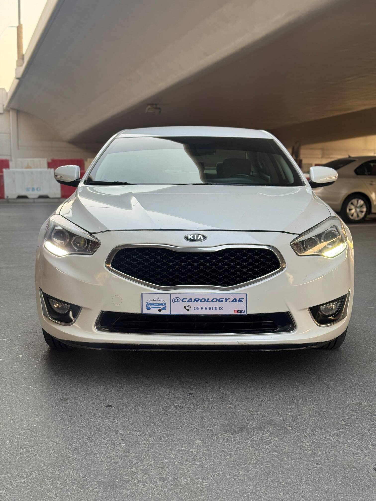 2015 Kia Cadenza