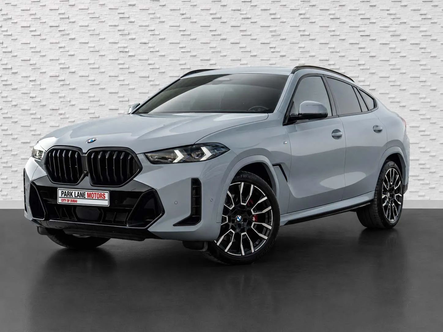 2024 BMW X6