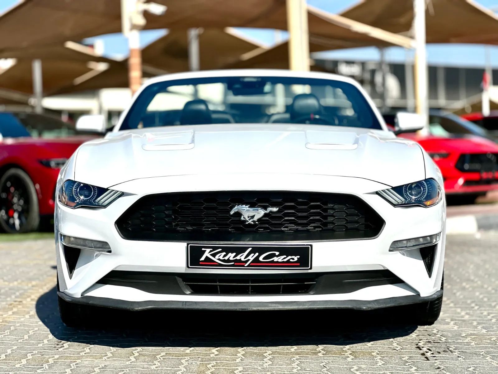 2022 Ford Mustang photo 2