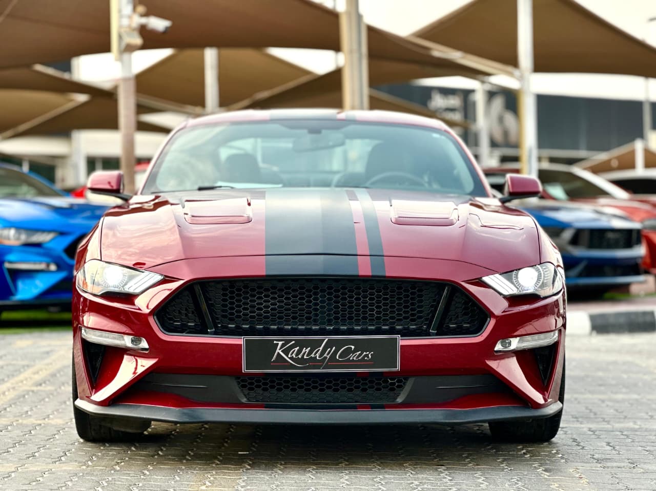 2019 Ford Mustang photo 2