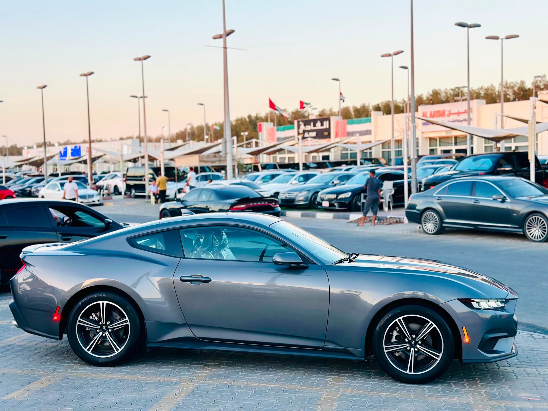 2024 Ford Mustang photo 3