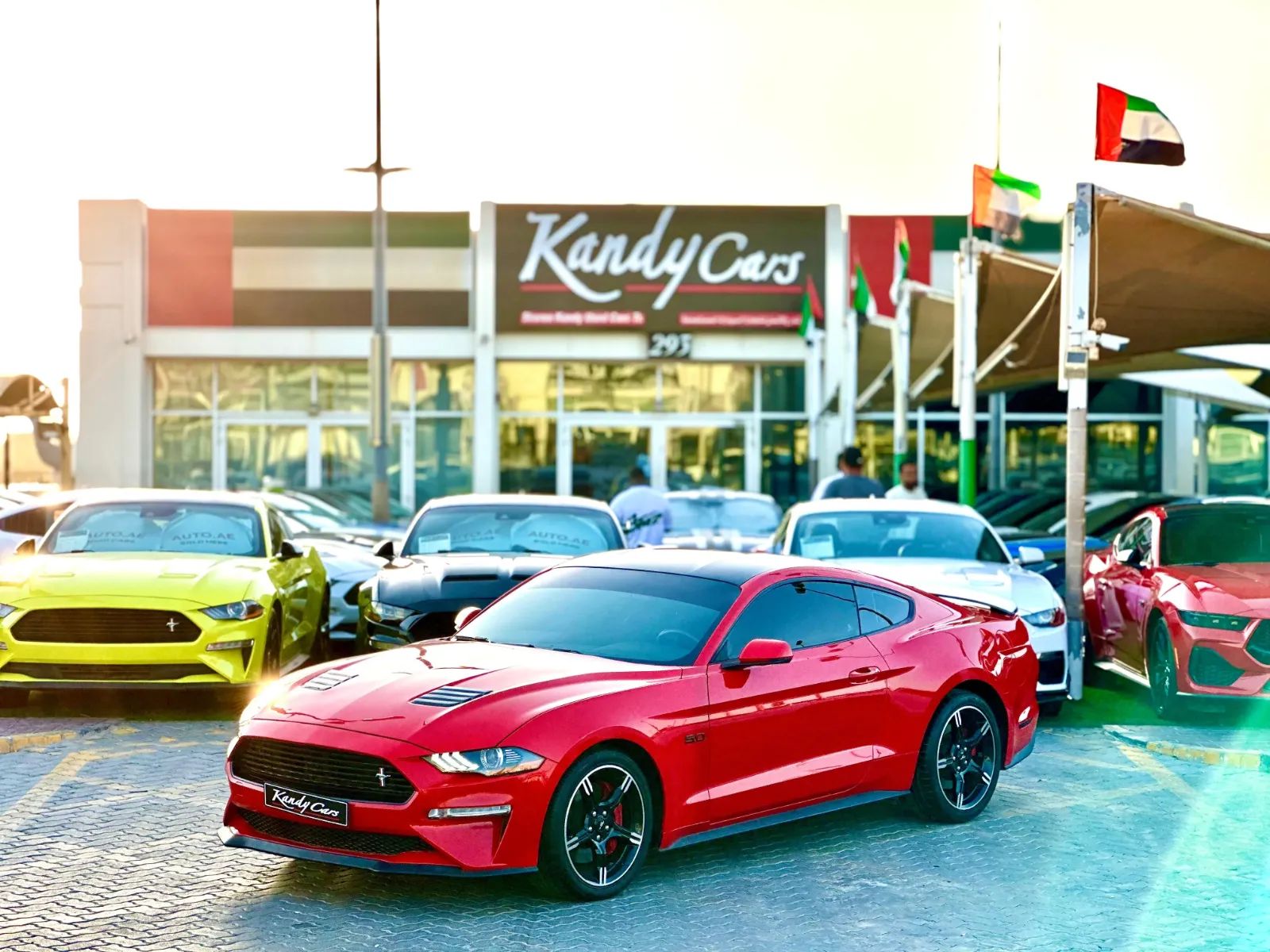 2019 Ford Mustang