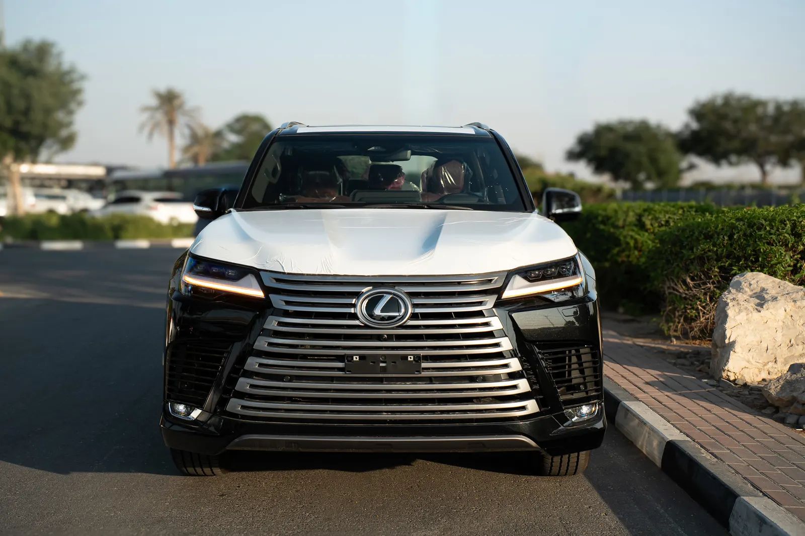 2025 Lexus LX photo 3