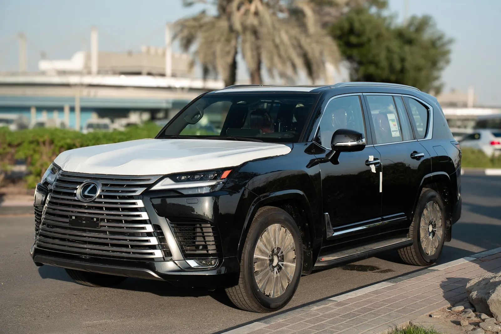 2025 Lexus LX photo 5