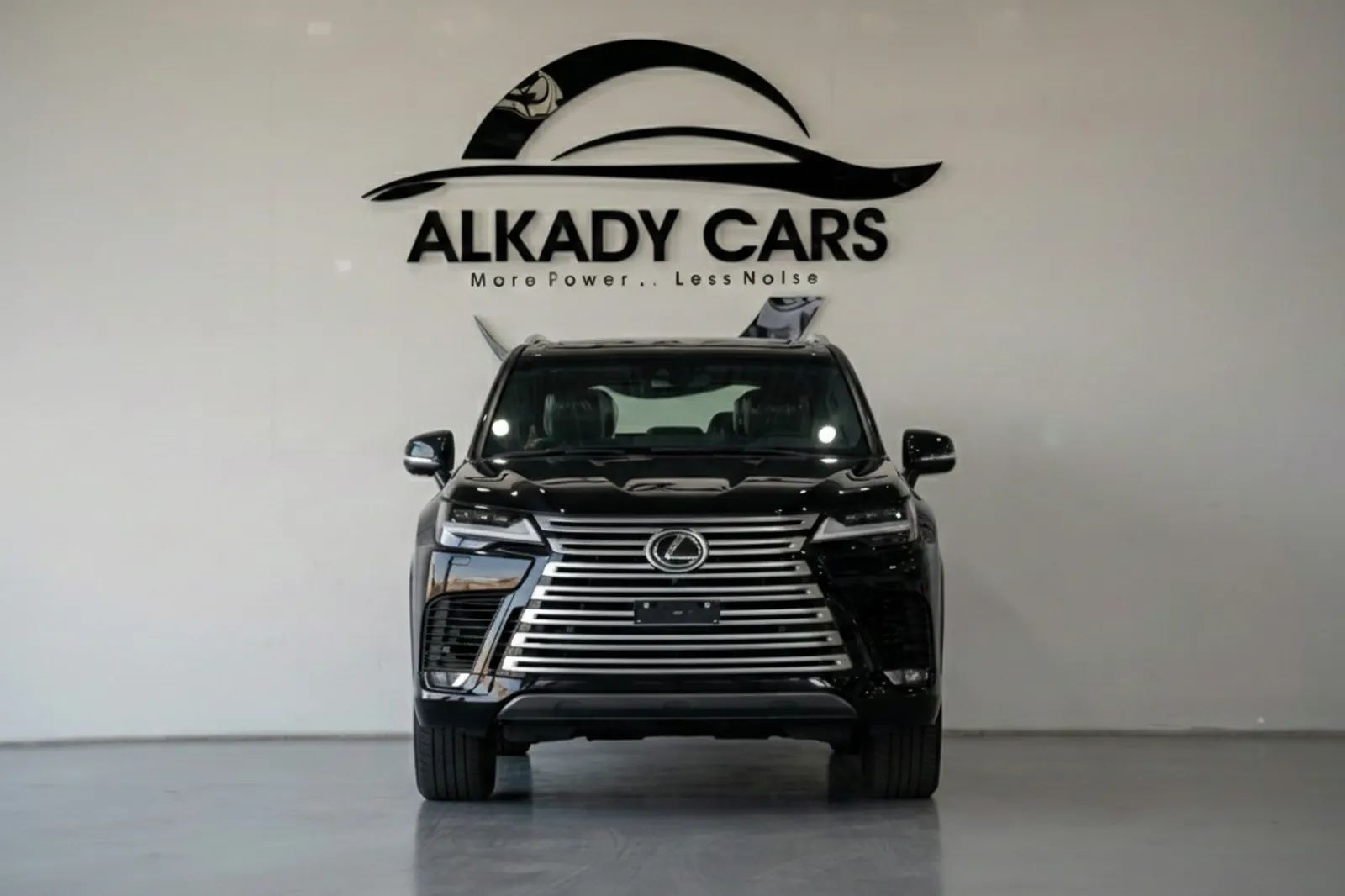 2025 Lexus LX photo 3