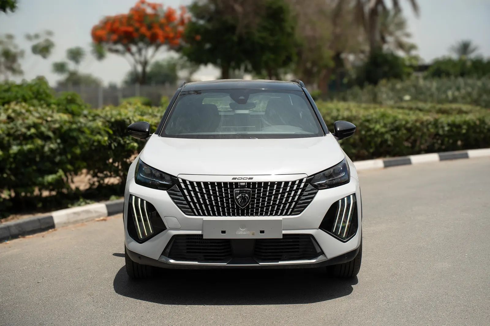 2025 Peugeot 2008 photo 3
