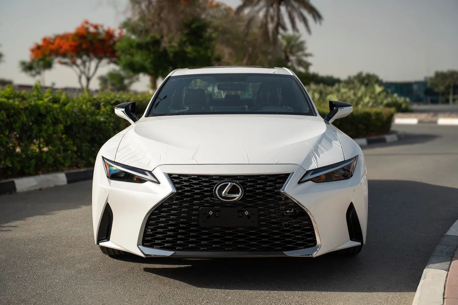 2025 Lexus IS photo 3