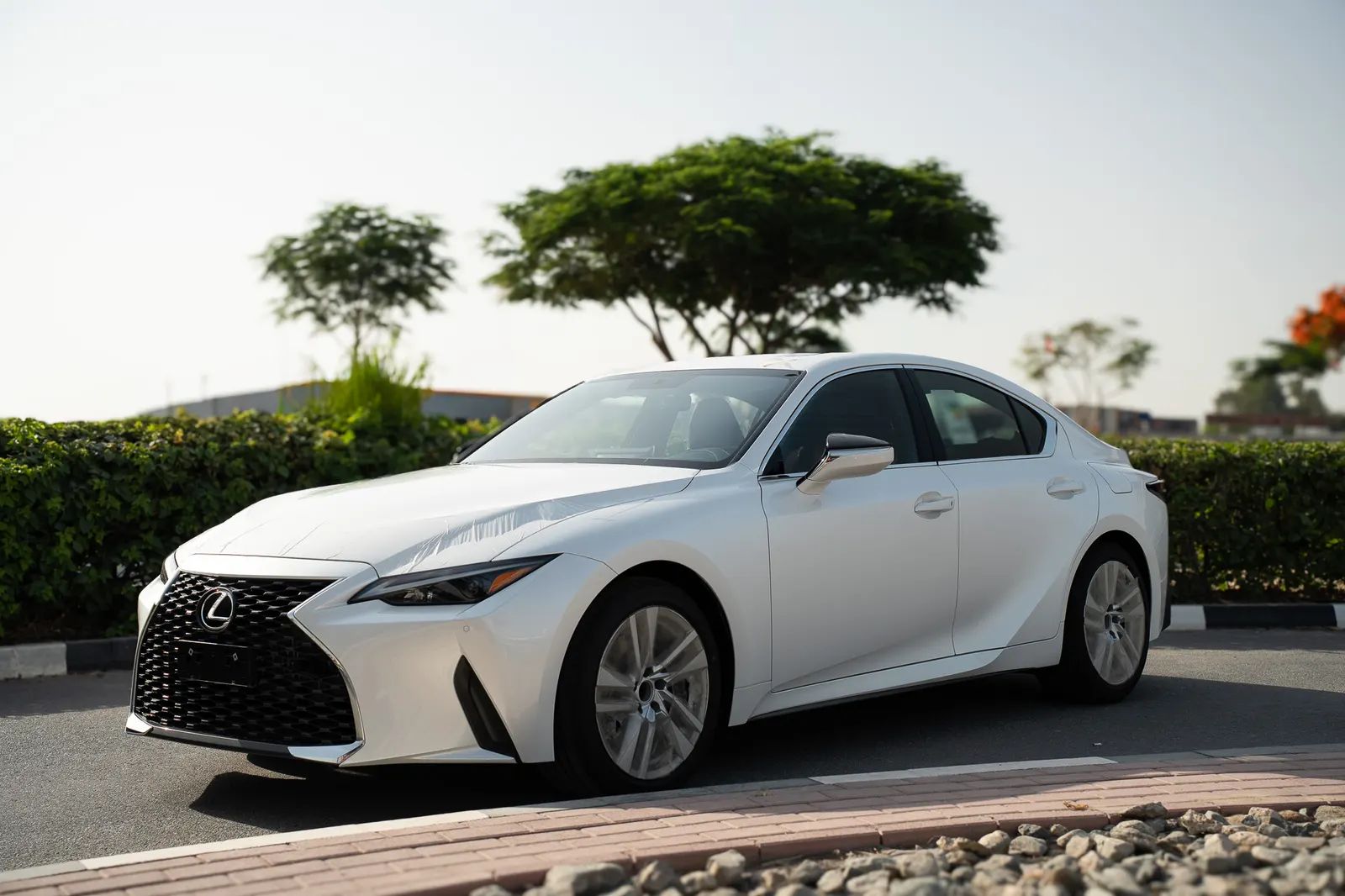 2025 Lexus IS photo 4
