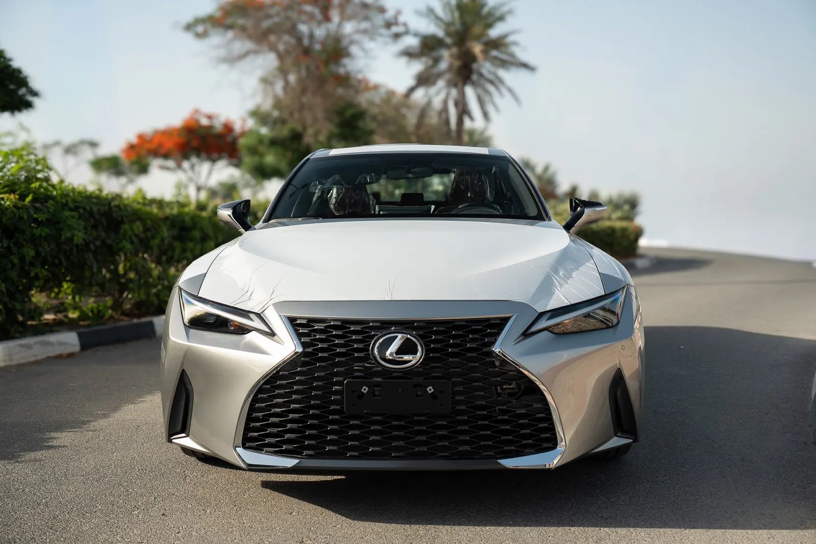 2025 Lexus IS photo 3