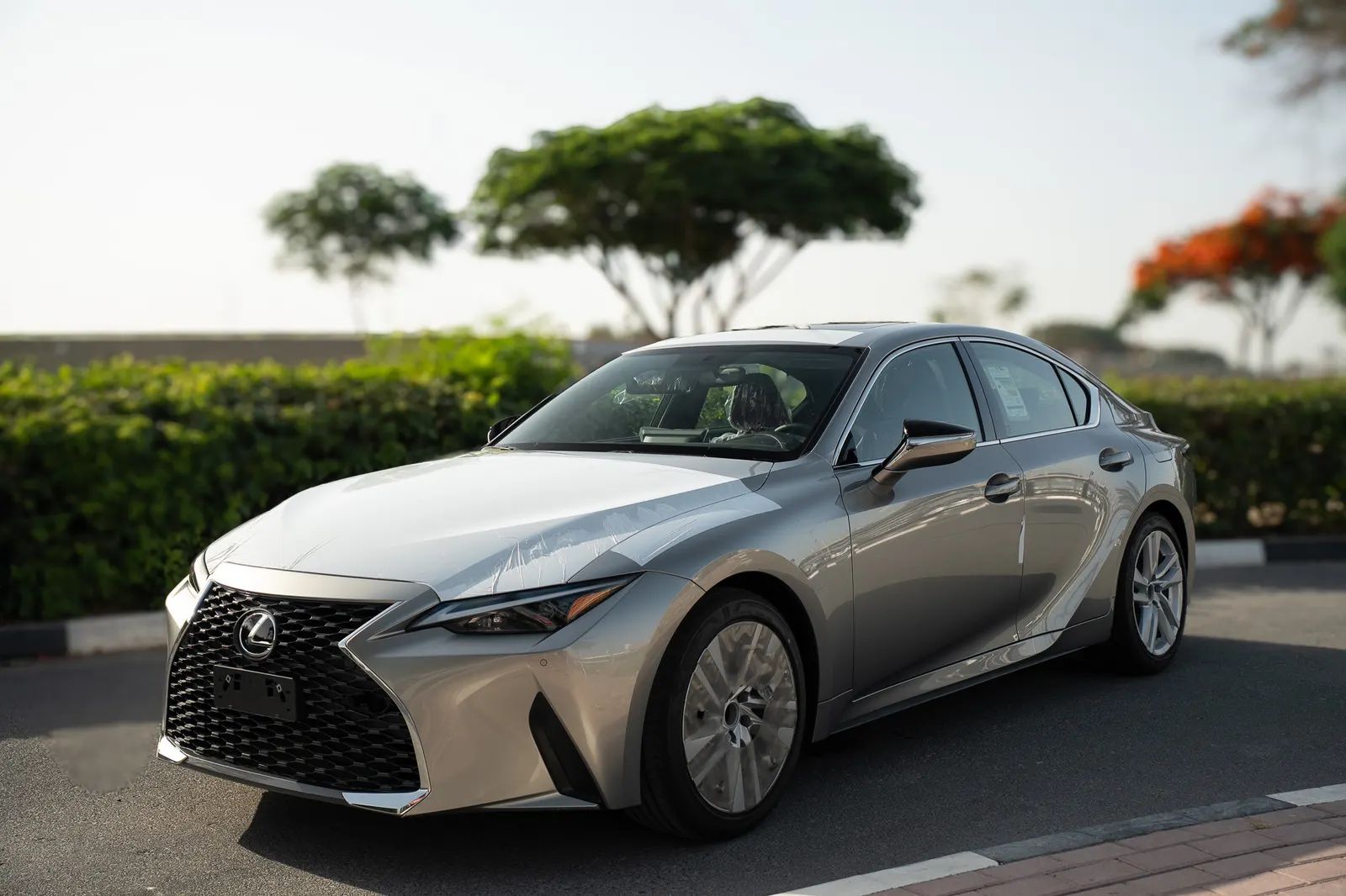 2025 Lexus IS photo 5