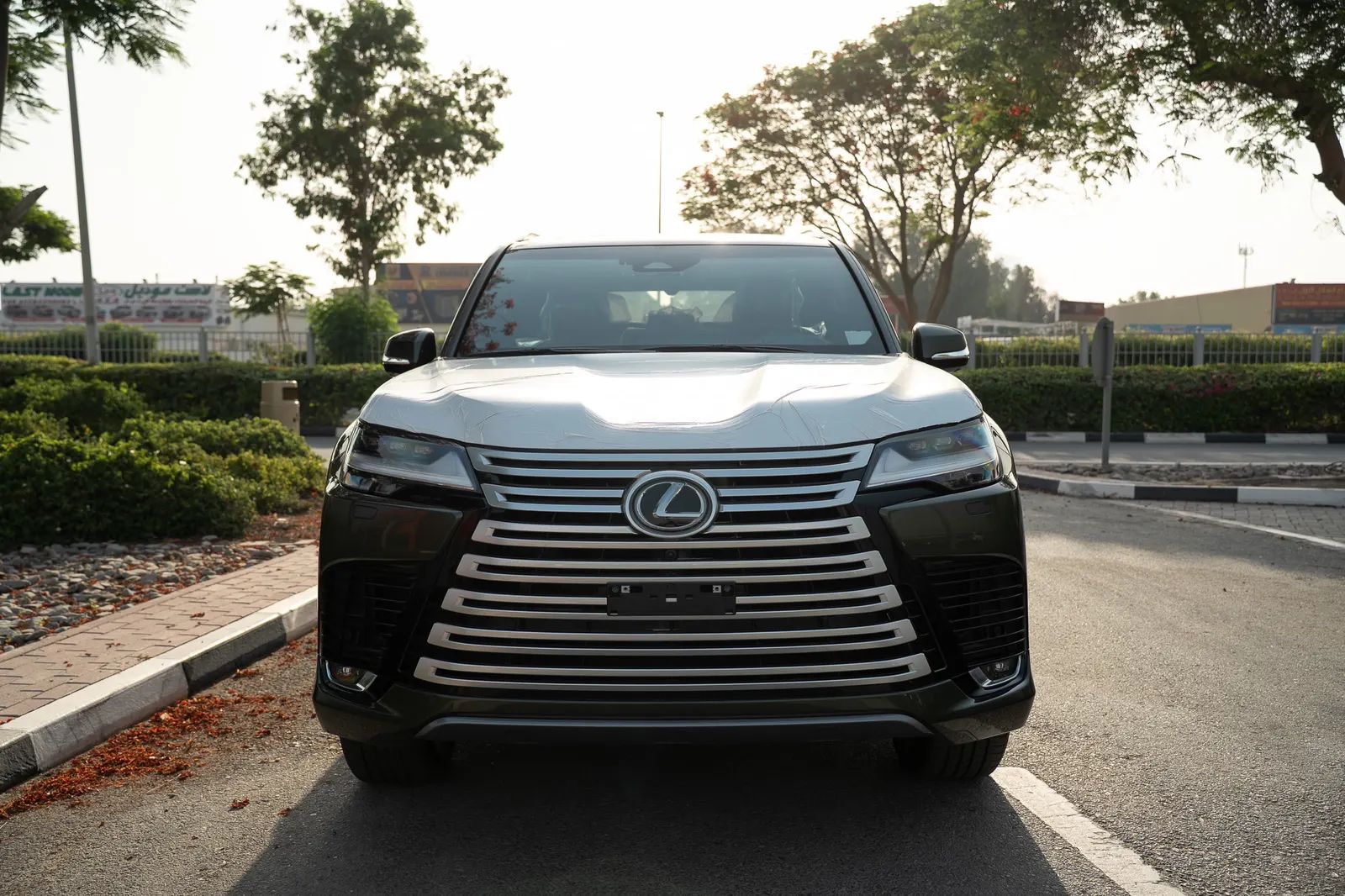 2025 Lexus LX photo 3