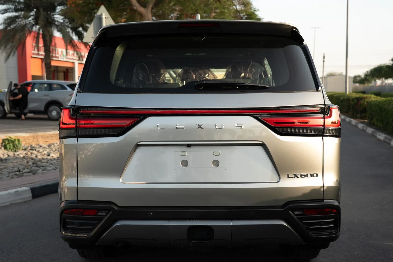 2025 Lexus LX photo 5