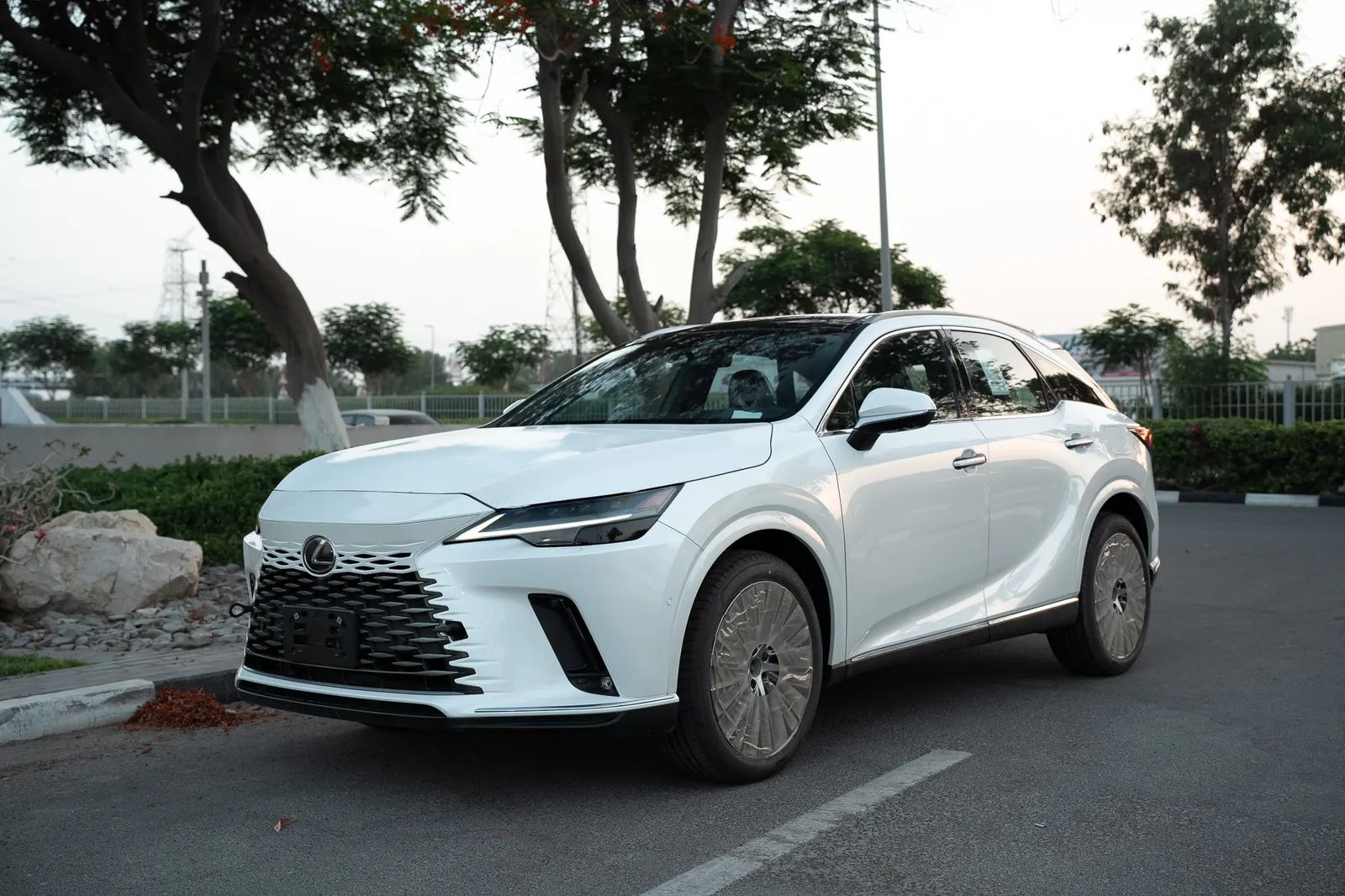 2025 Lexus RX photo 3