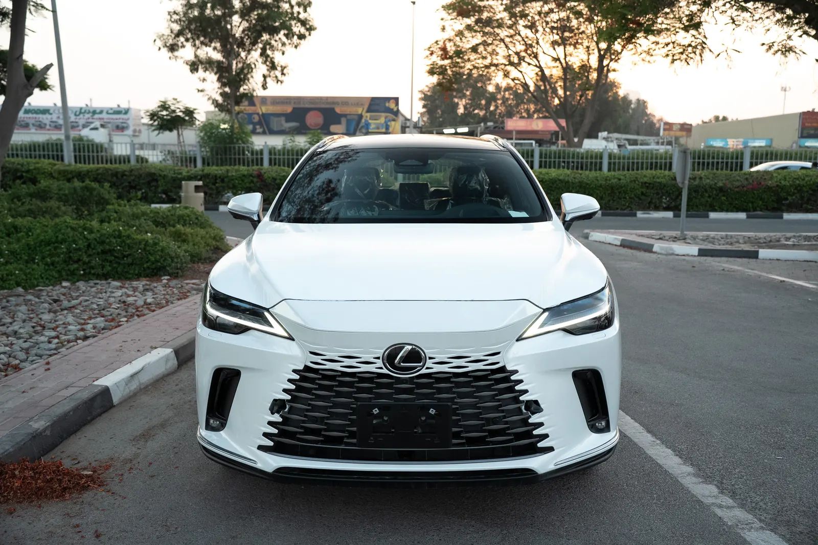 2025 Lexus RX photo 4