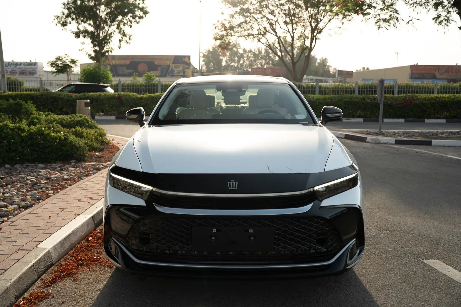 2023 Toyota Crown photo 5