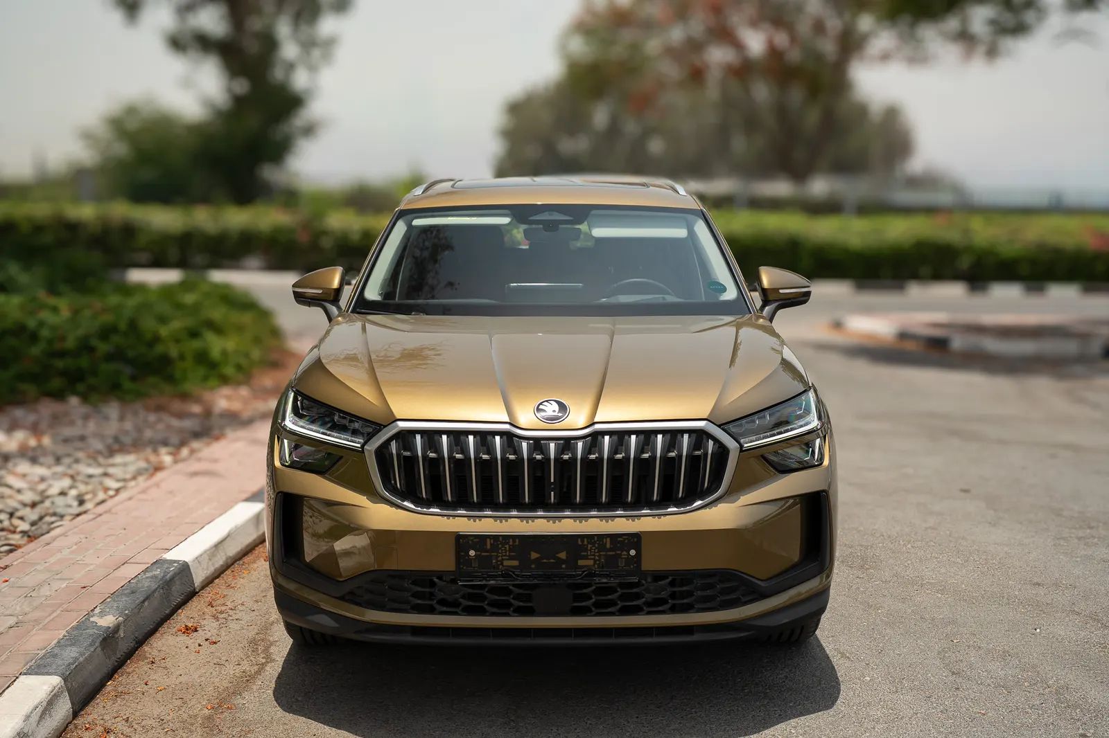 2026 Škoda Kodiaq photo 3