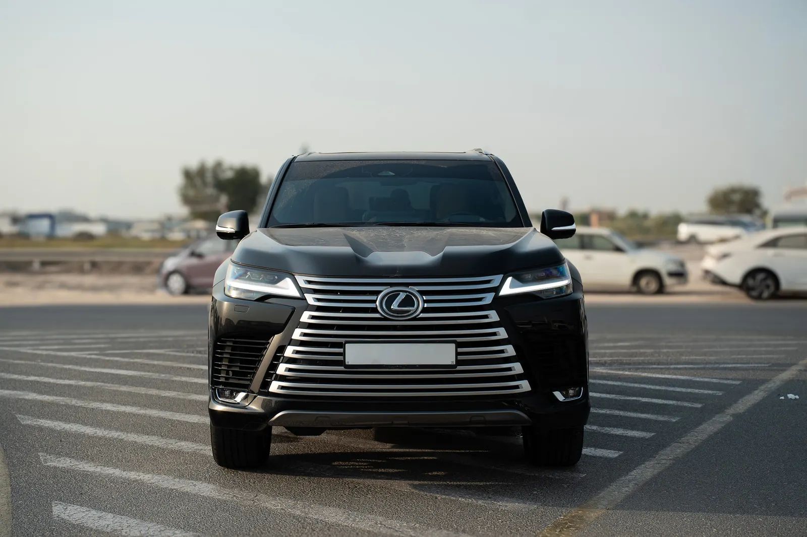 2025 Lexus LX photo 5