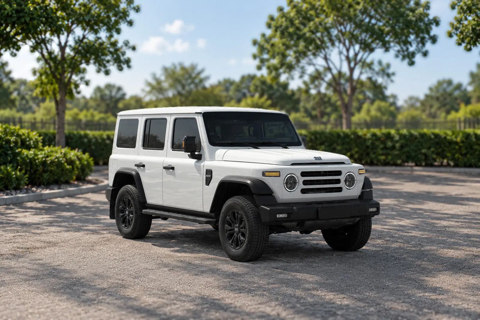 2027 BAIC 212 T01 photo 3