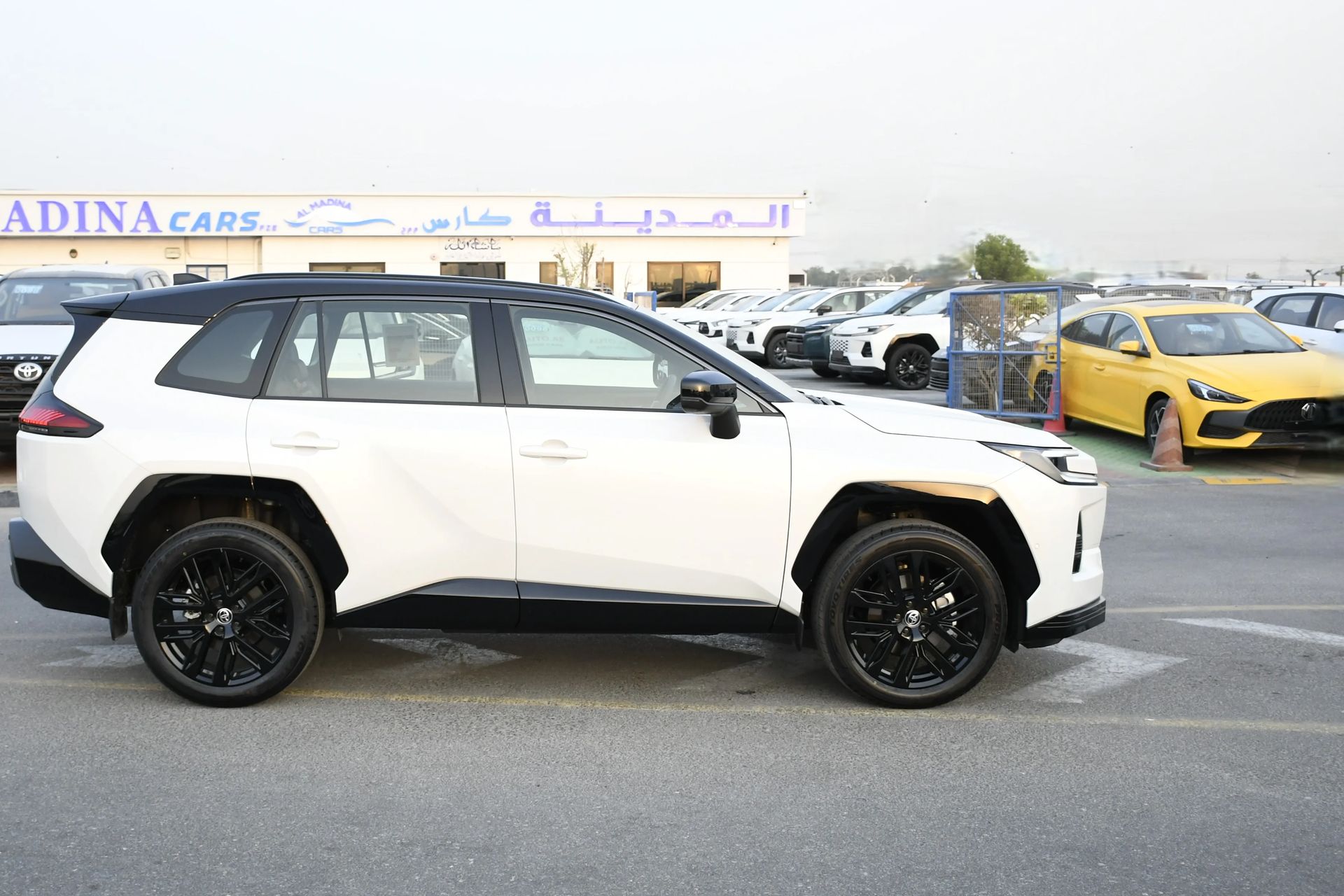 2026 Toyota RAV4 photo 3