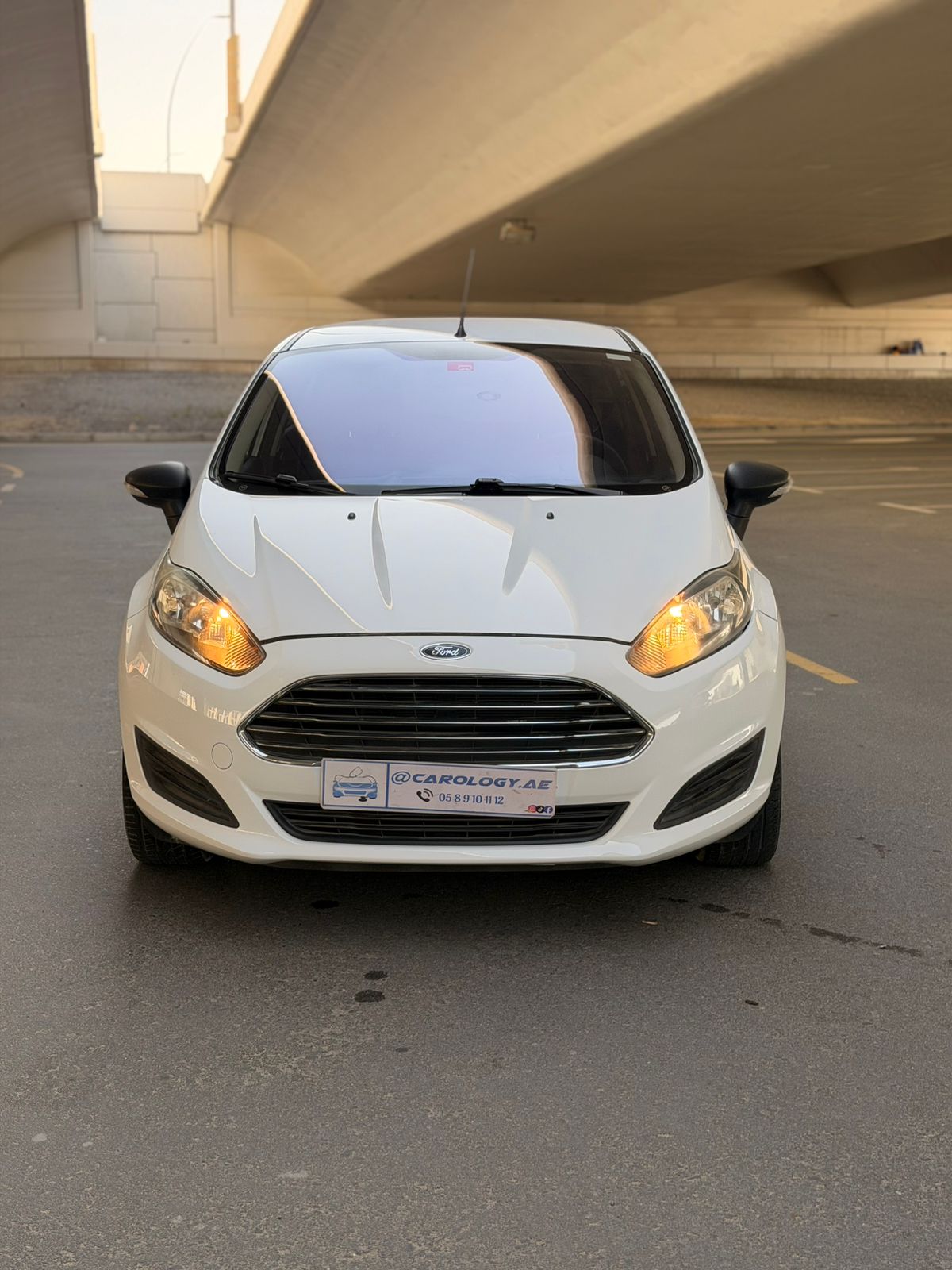 2017 Ford Figo