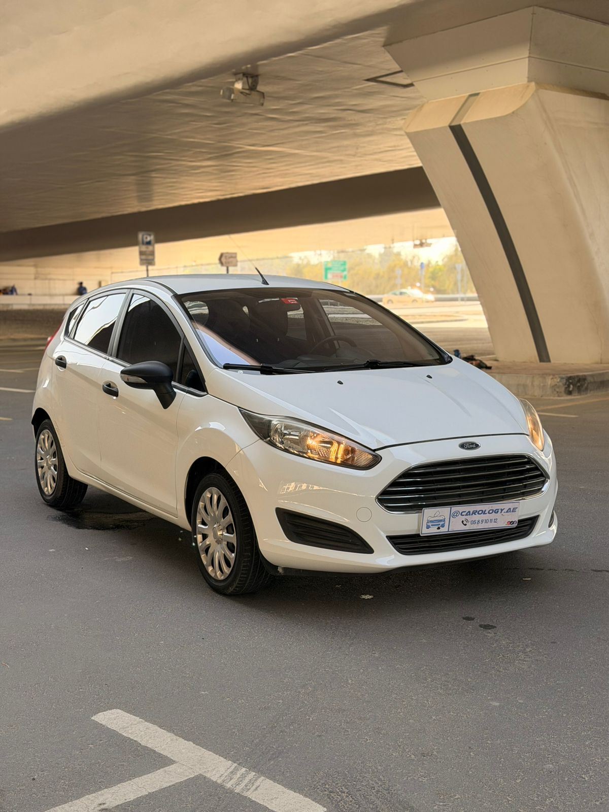 2017 Ford Figo photo 2