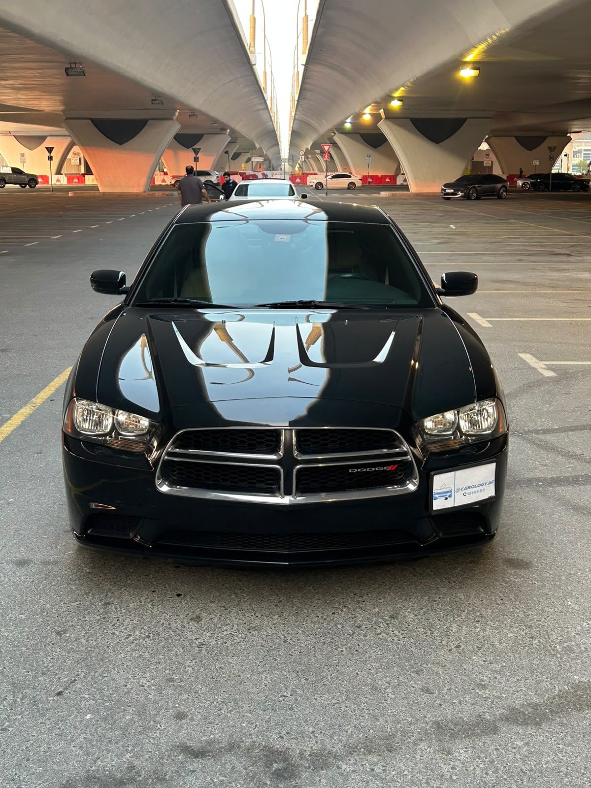 2014 Dodge Charger photo 3