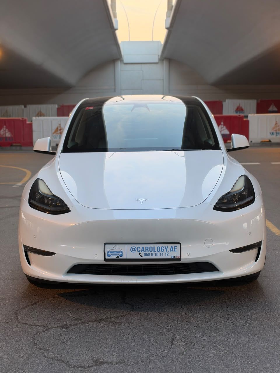 2022 Tesla Model Y photo 2