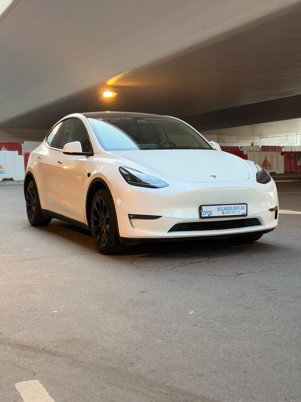 2022 Tesla Model Y photo 4