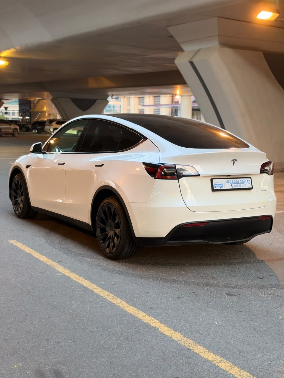 2022 Tesla Model Y photo 5