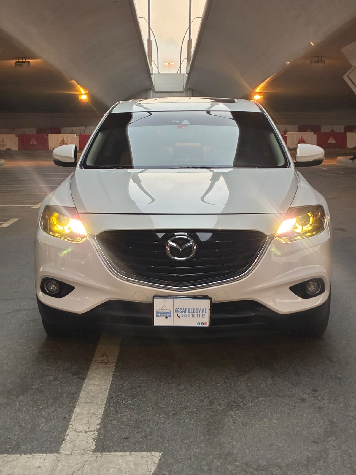 2015 Mazda CX-9 photo 2
