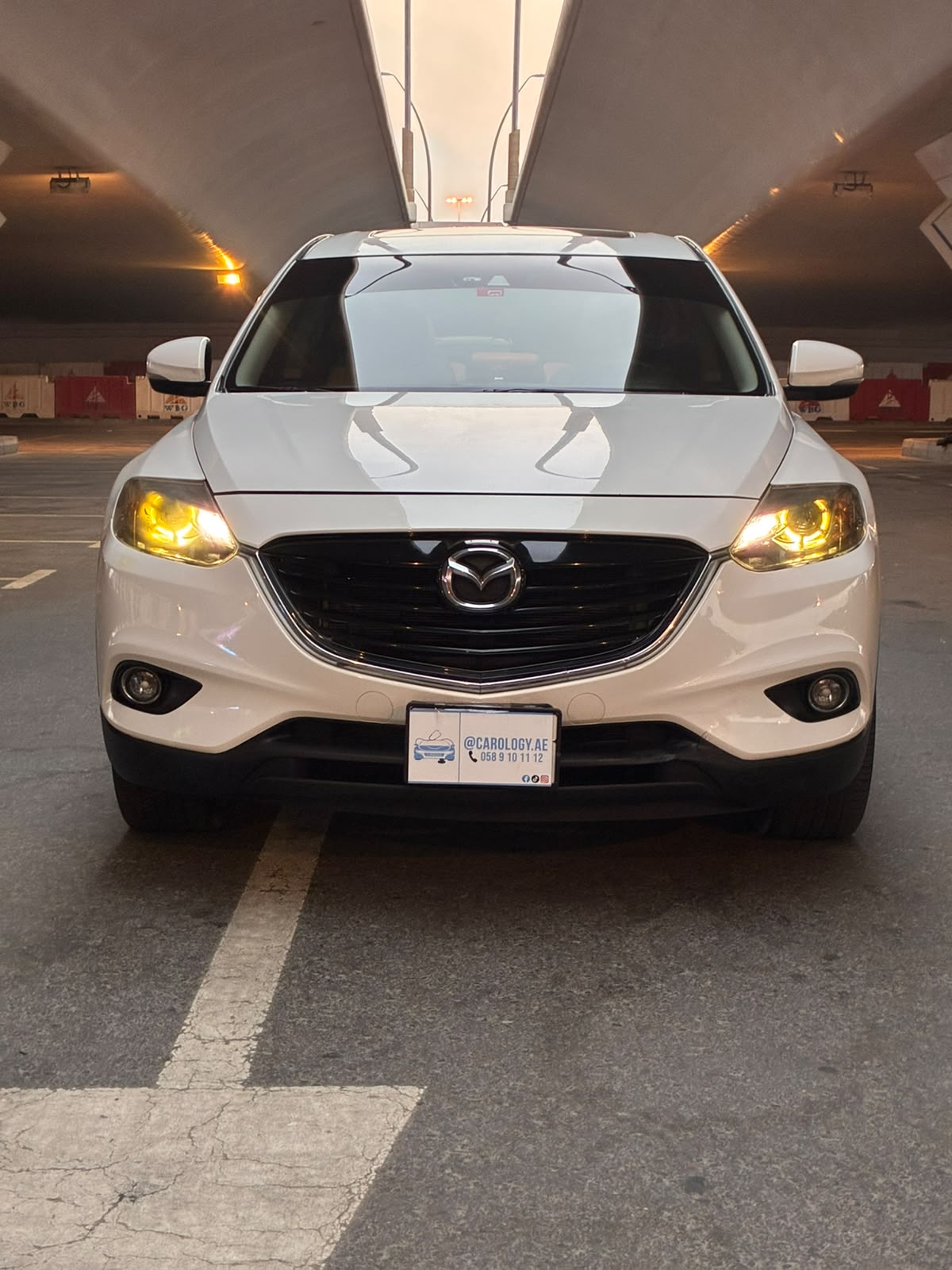 2015 Mazda CX-9 photo 3