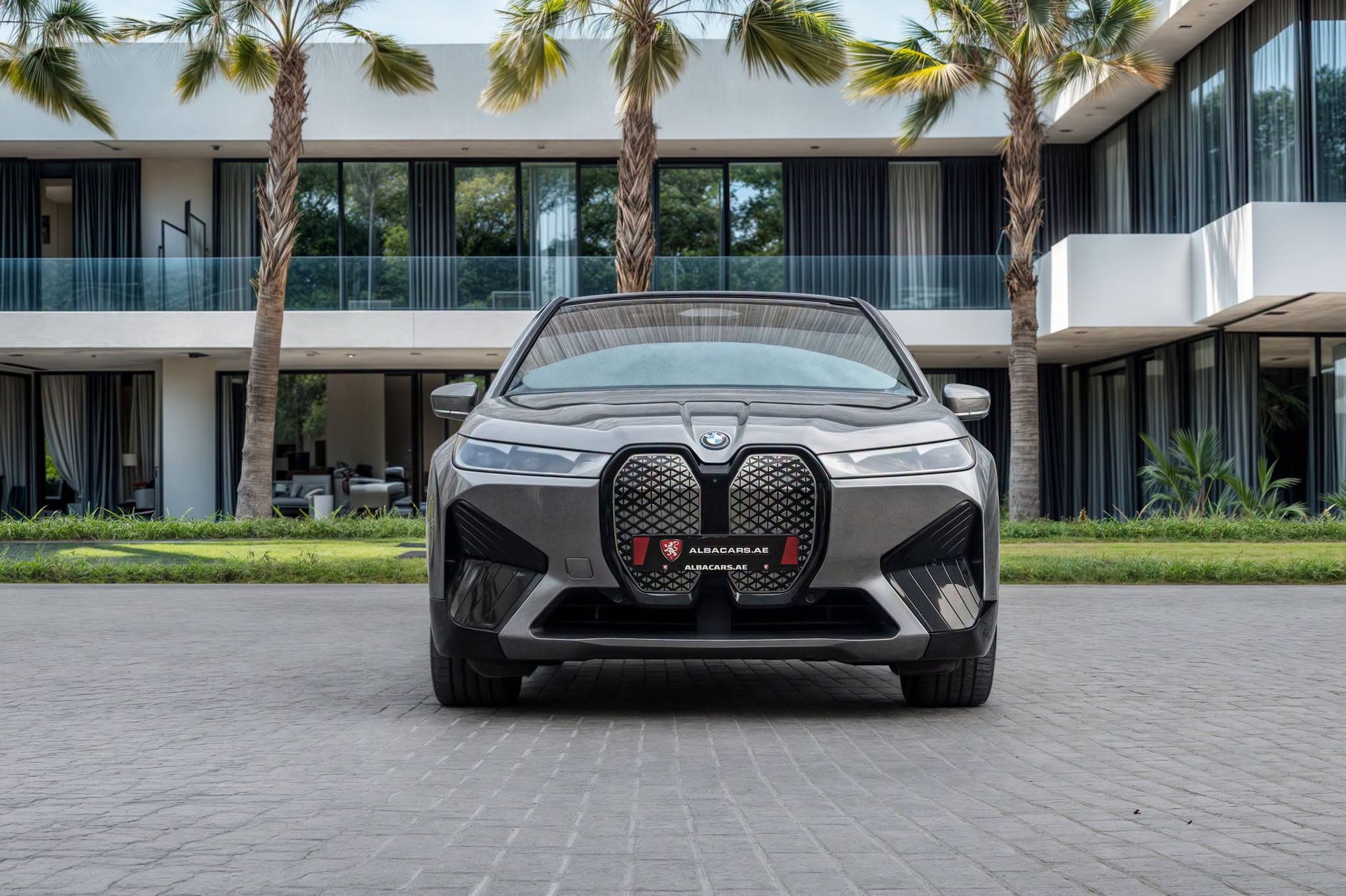 2023 BMW iX photo 2