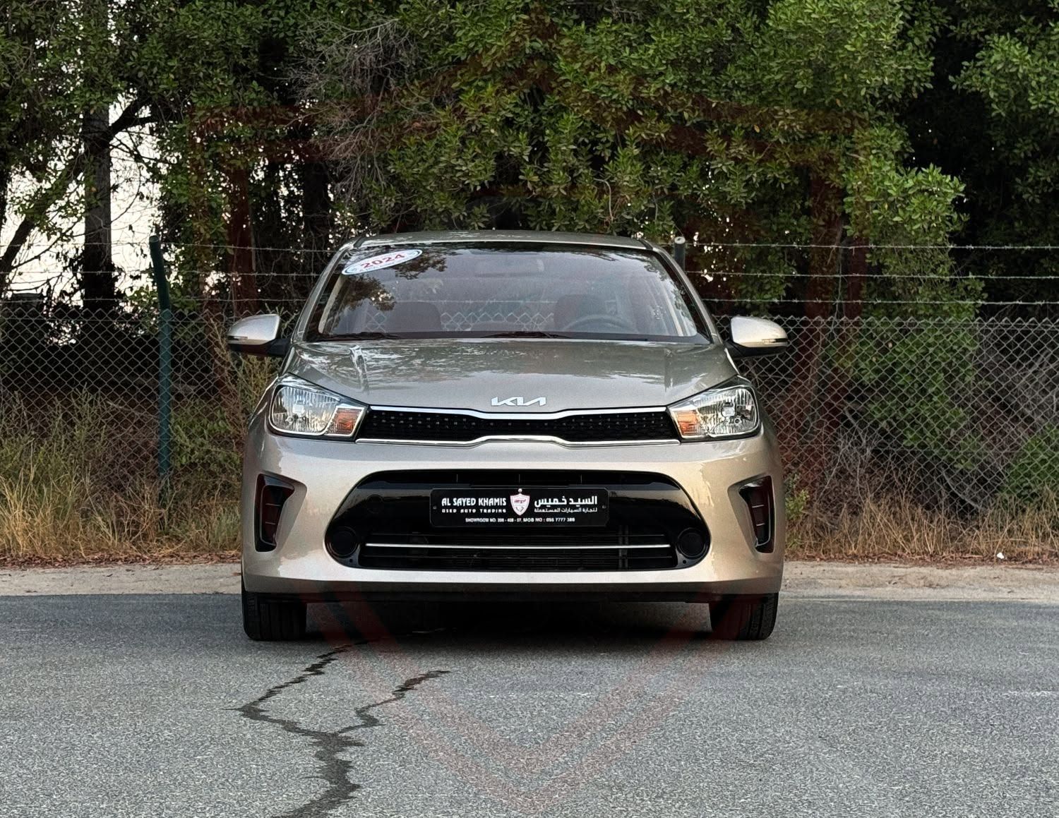 2024 Kia Pegas