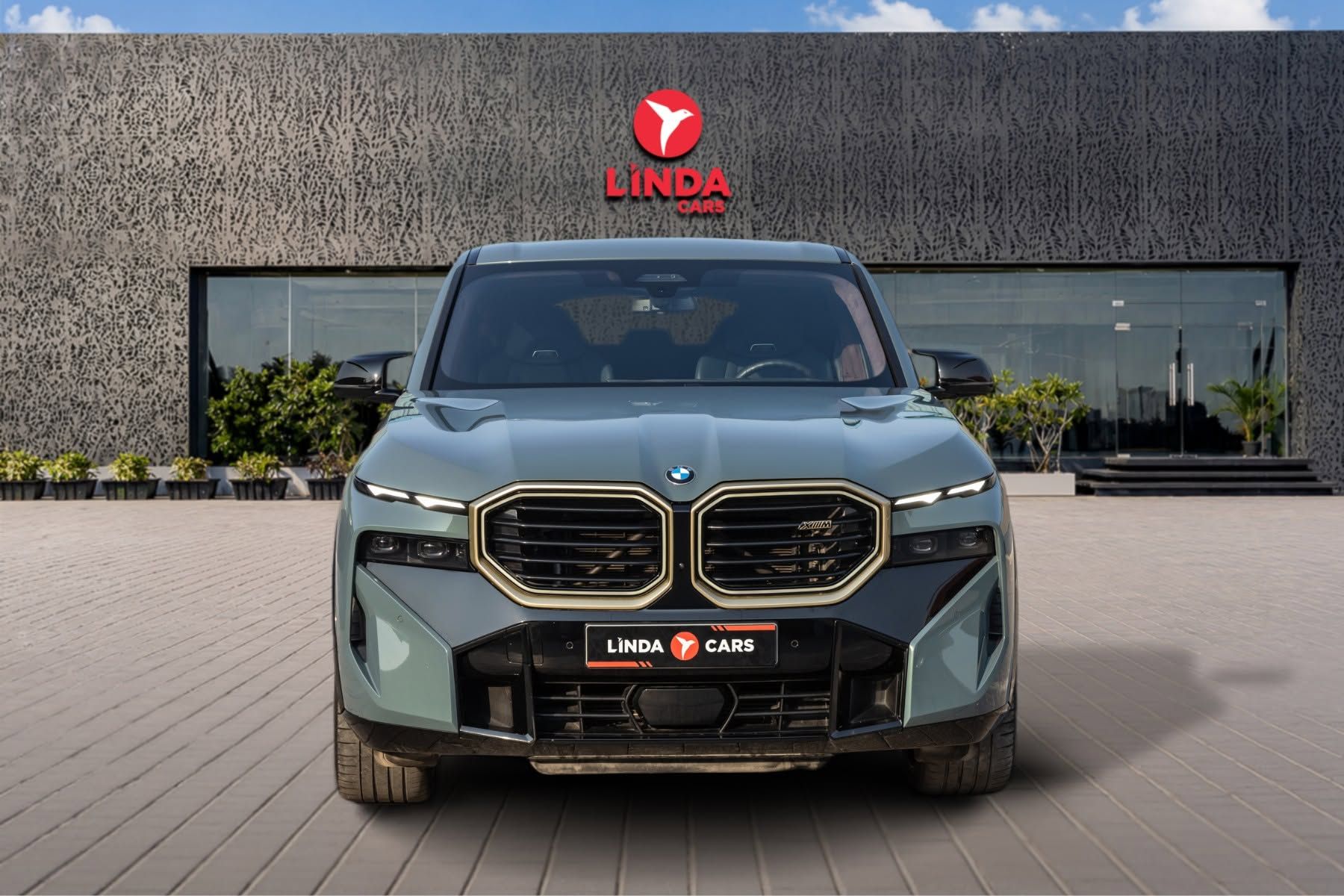 2023 BMW XM photo 2