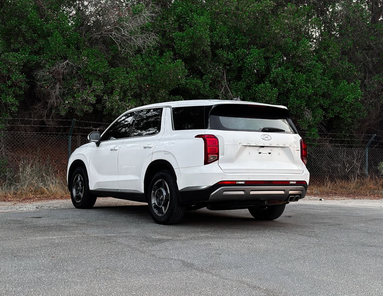 2023 Hyundai Palisade photo 3